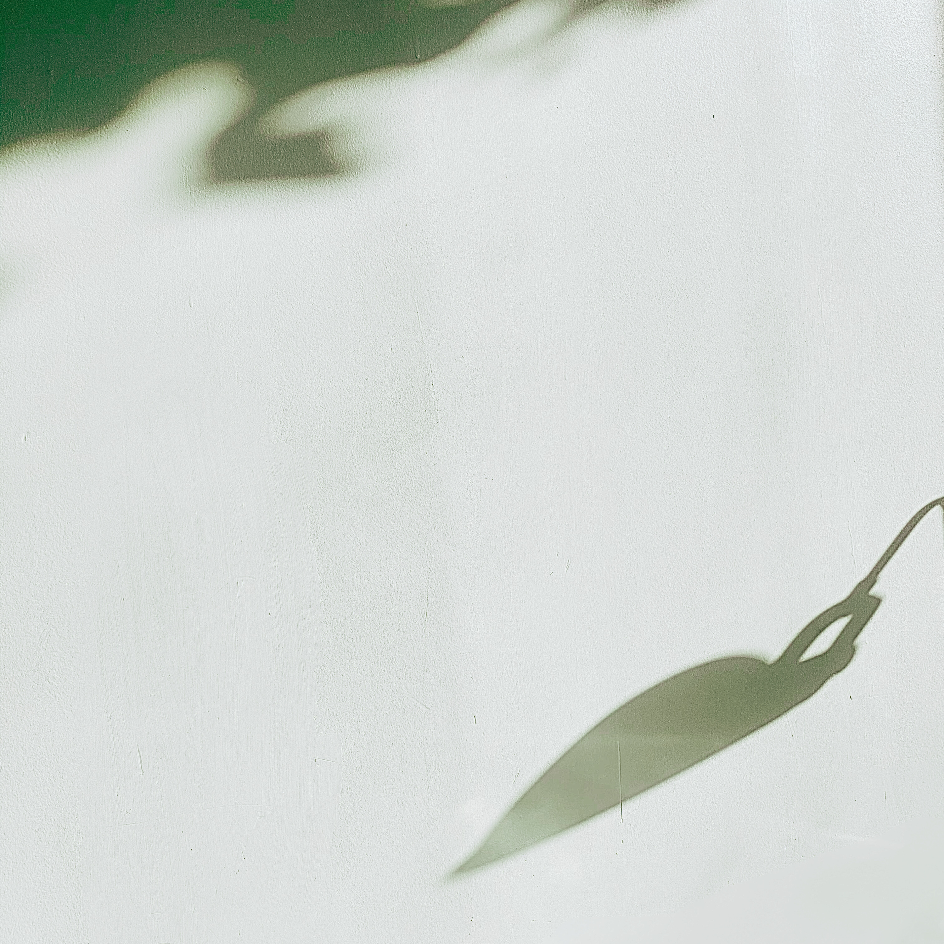 月岡彦穂 – Digital Single「かげおくり」